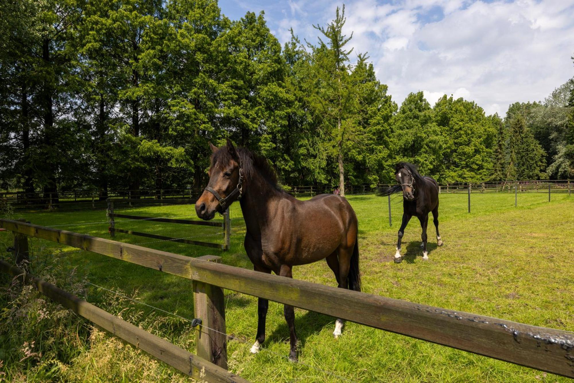 Luxe Hofstede Met Paardenstalling Lunteren Ngoại thất bức ảnh