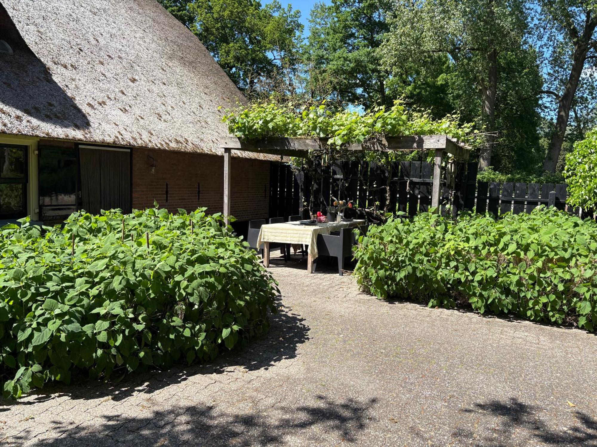 Luxe Hofstede Met Paardenstalling Lunteren Ngoại thất bức ảnh